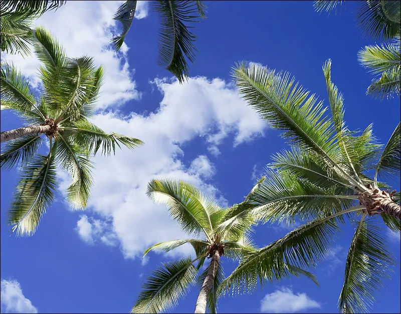 Zaprogramuj swój sufit