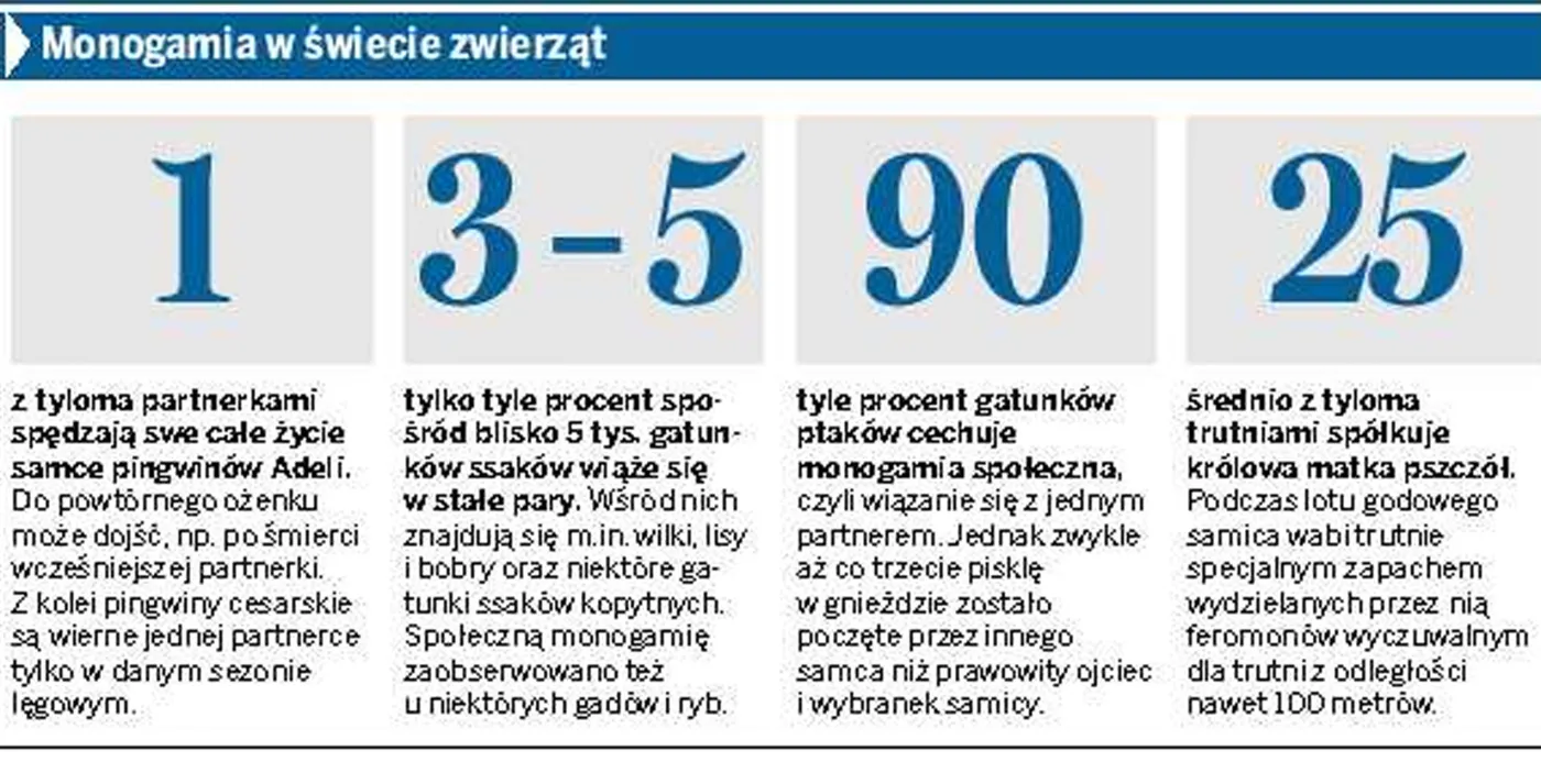 Niezawodny sposób na szczęśliwe małżeństwo