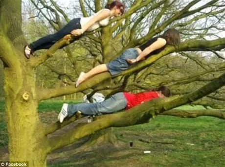 Absurdalna gra fotograficzna na Facebooku