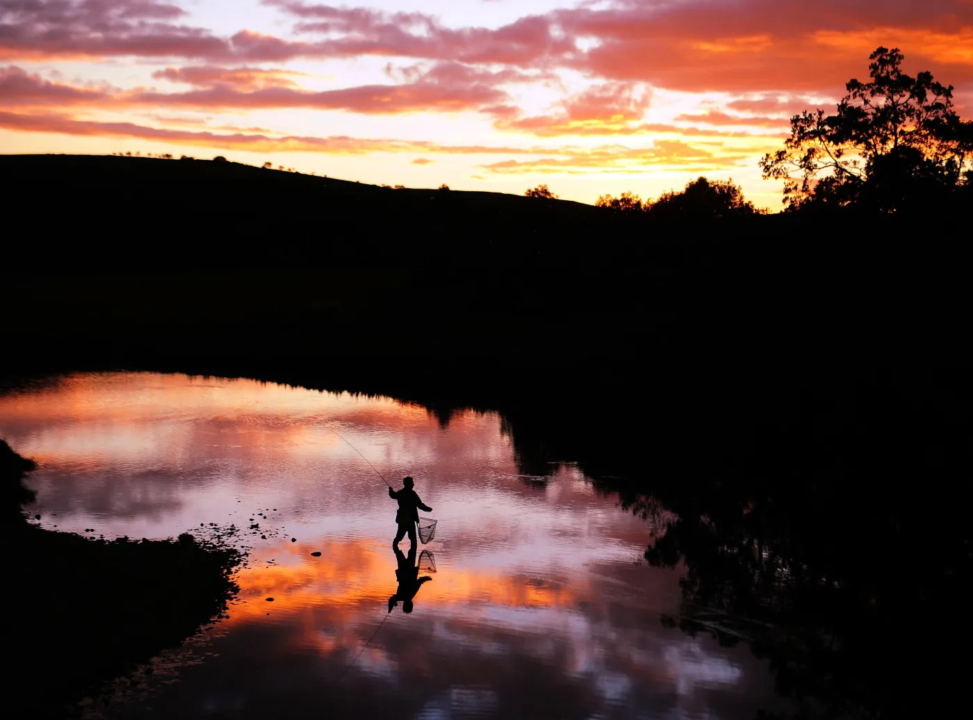Najlepsze zdjęcia ostatnich dni