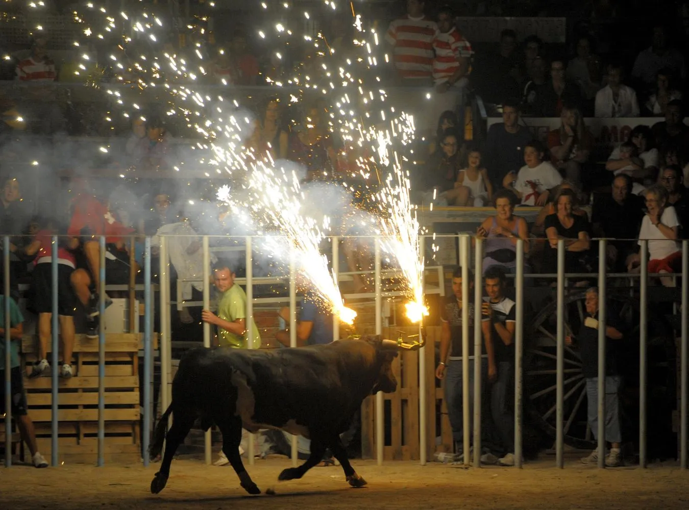 Krwawa fiesta z bykami. Są dziesiątki rannych!
