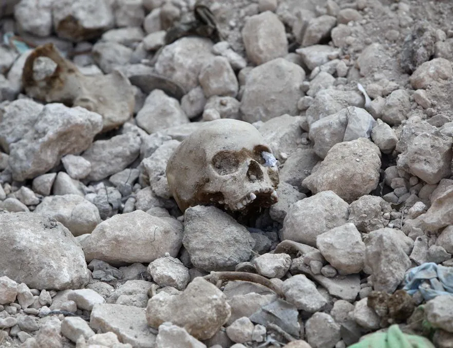 Czaszka w zoo w Płocku. Dezerter z Wehrmachtu?