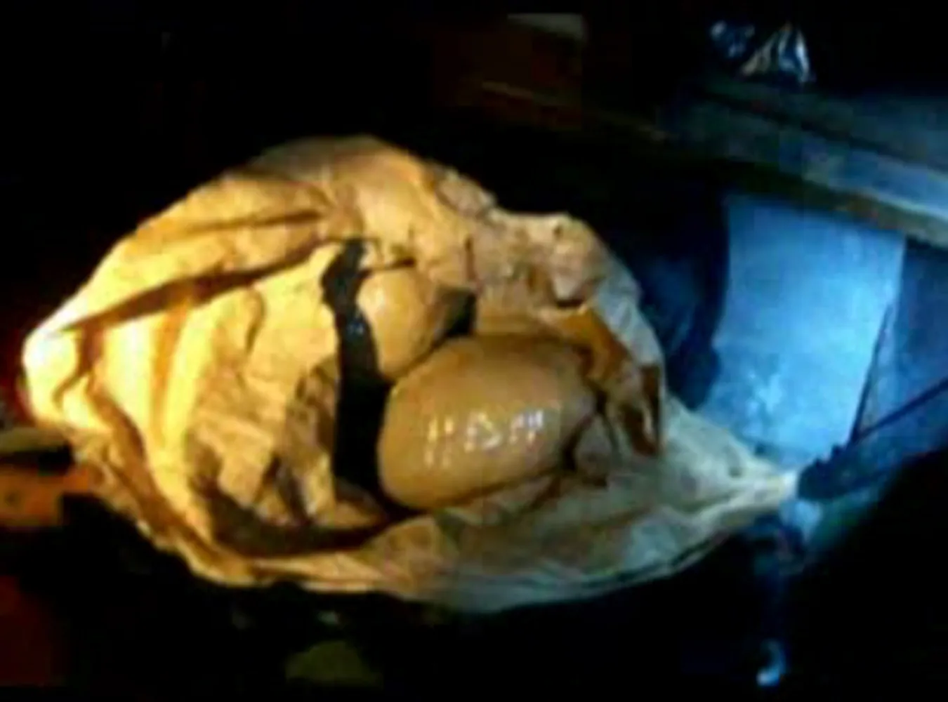 Policja zlikwidowała magazyn narkotyków w Gdańsku