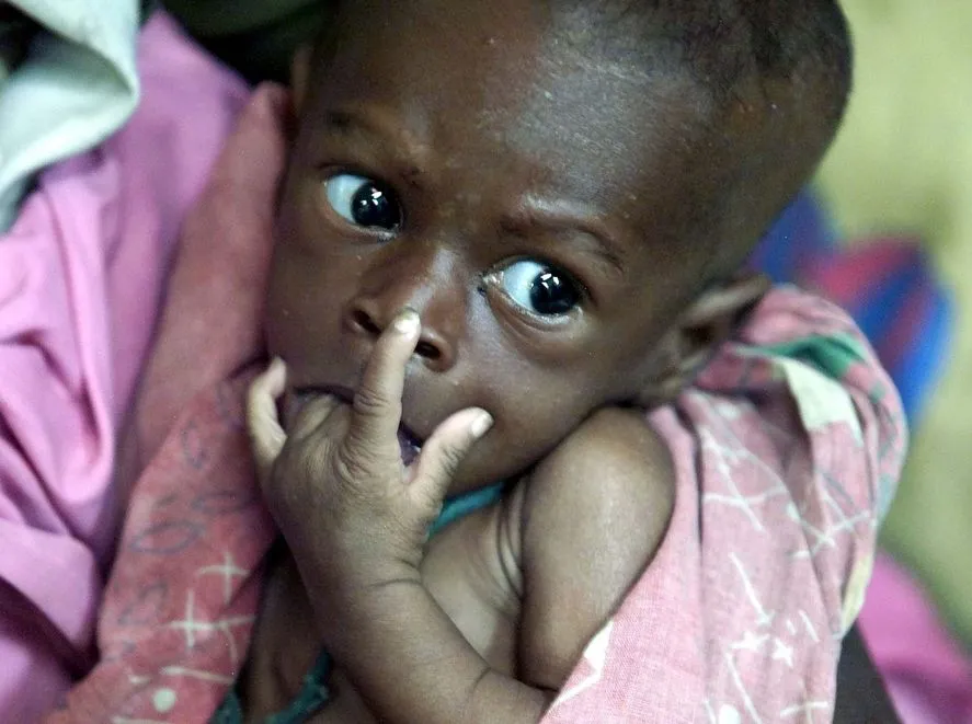 Bogaci grają na głód