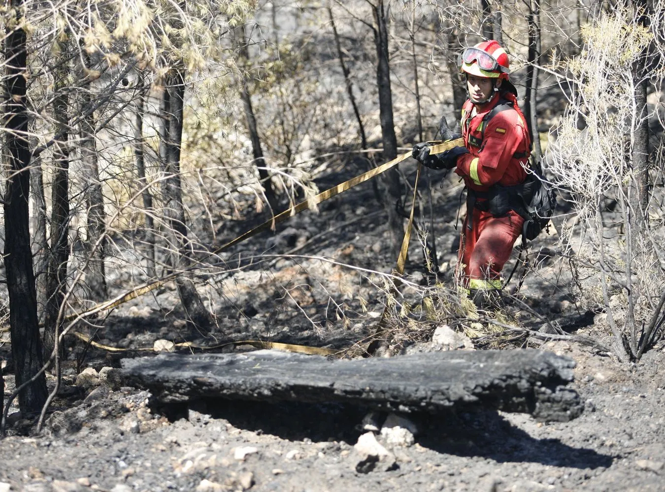 Pożar pustoszy znaną hiszpańską wyspę. To wina... pszczelarza