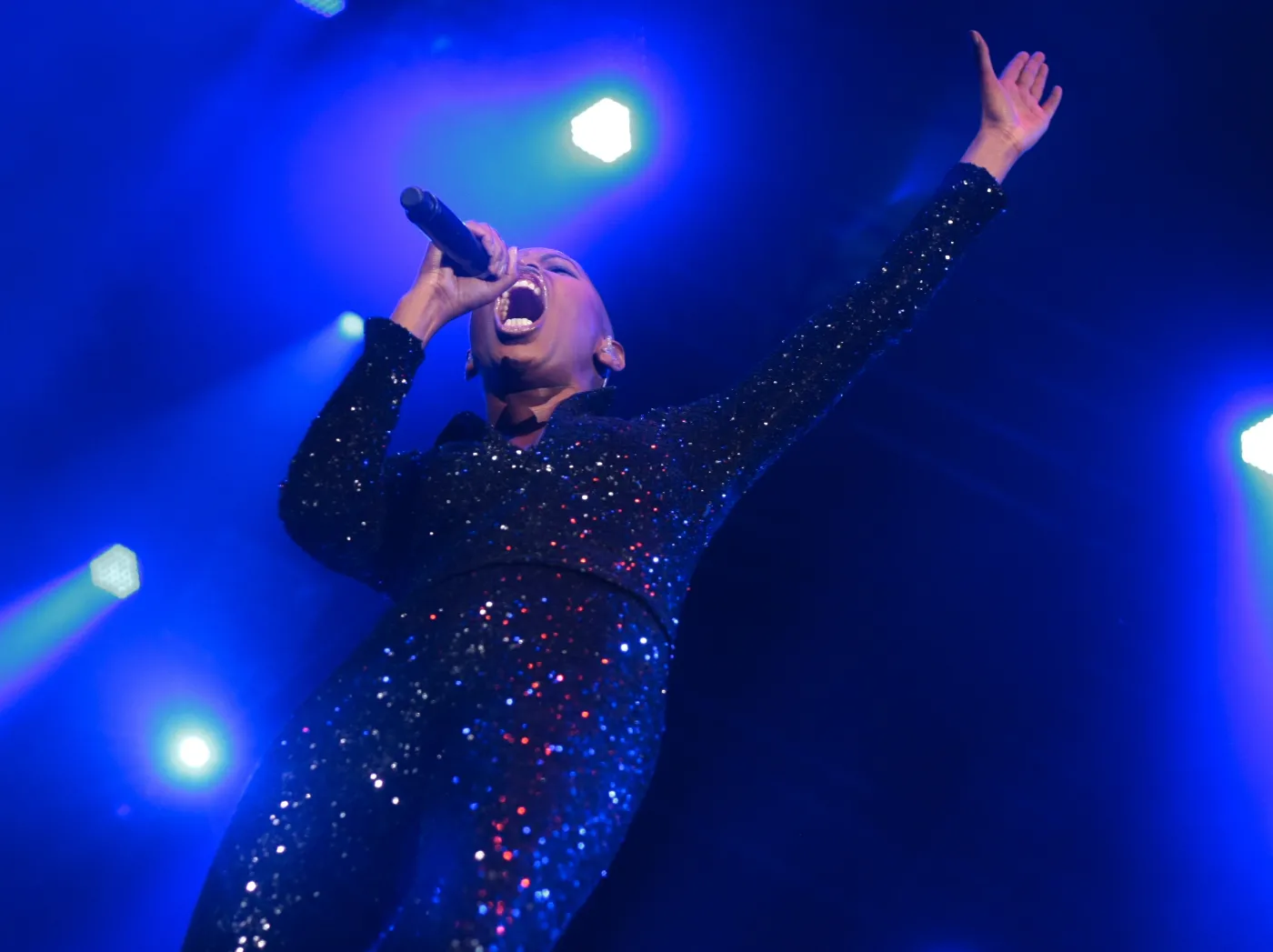 2192570-skunk-anansie.jpg