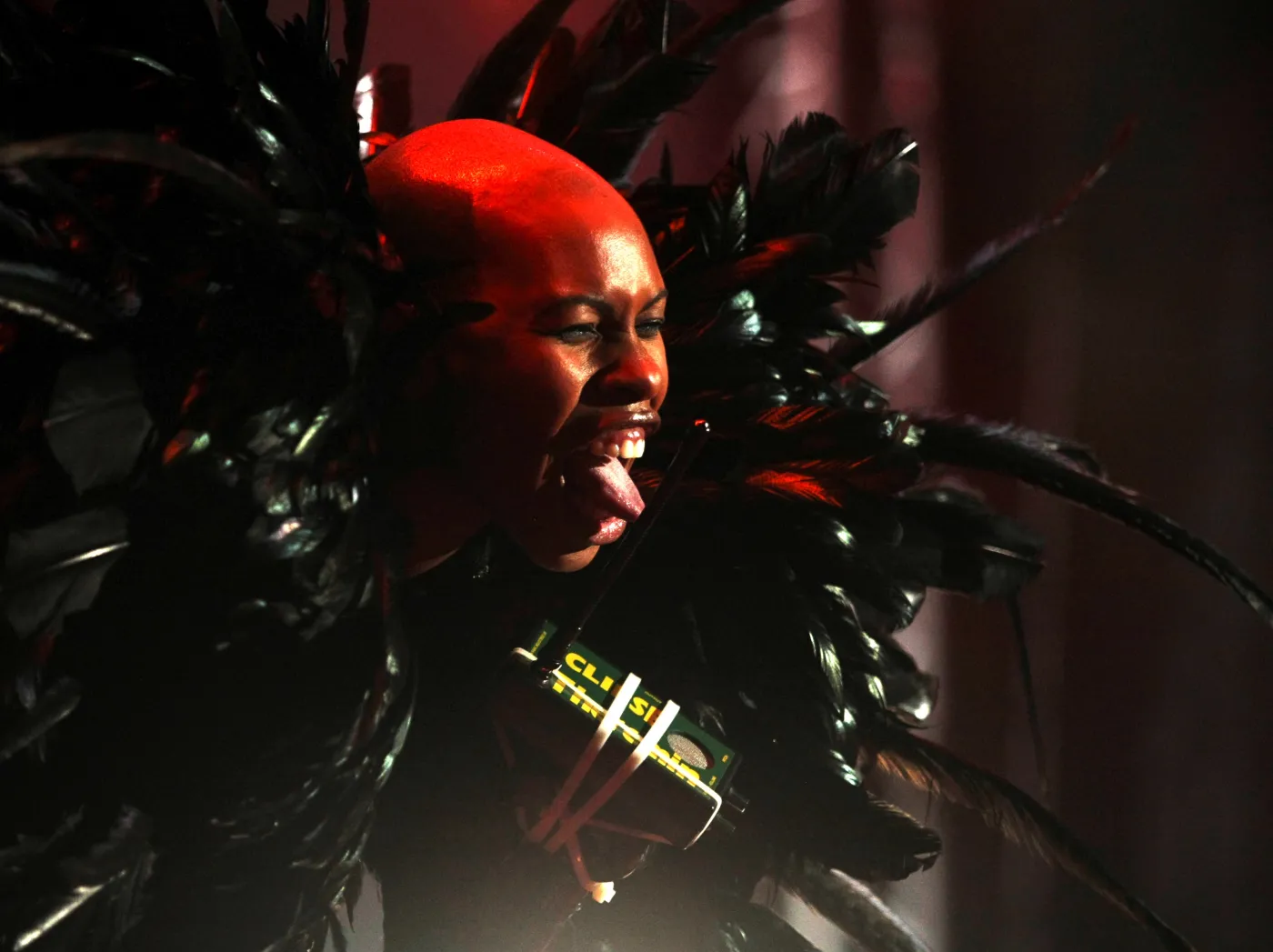 2192695-skunk-anansie.jpg
