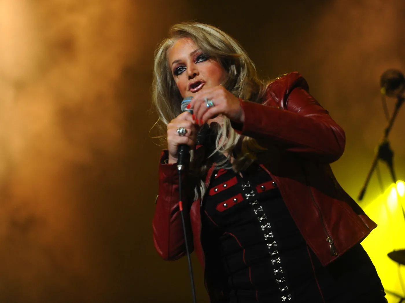 2227648-bonnie-tyler.jpg
