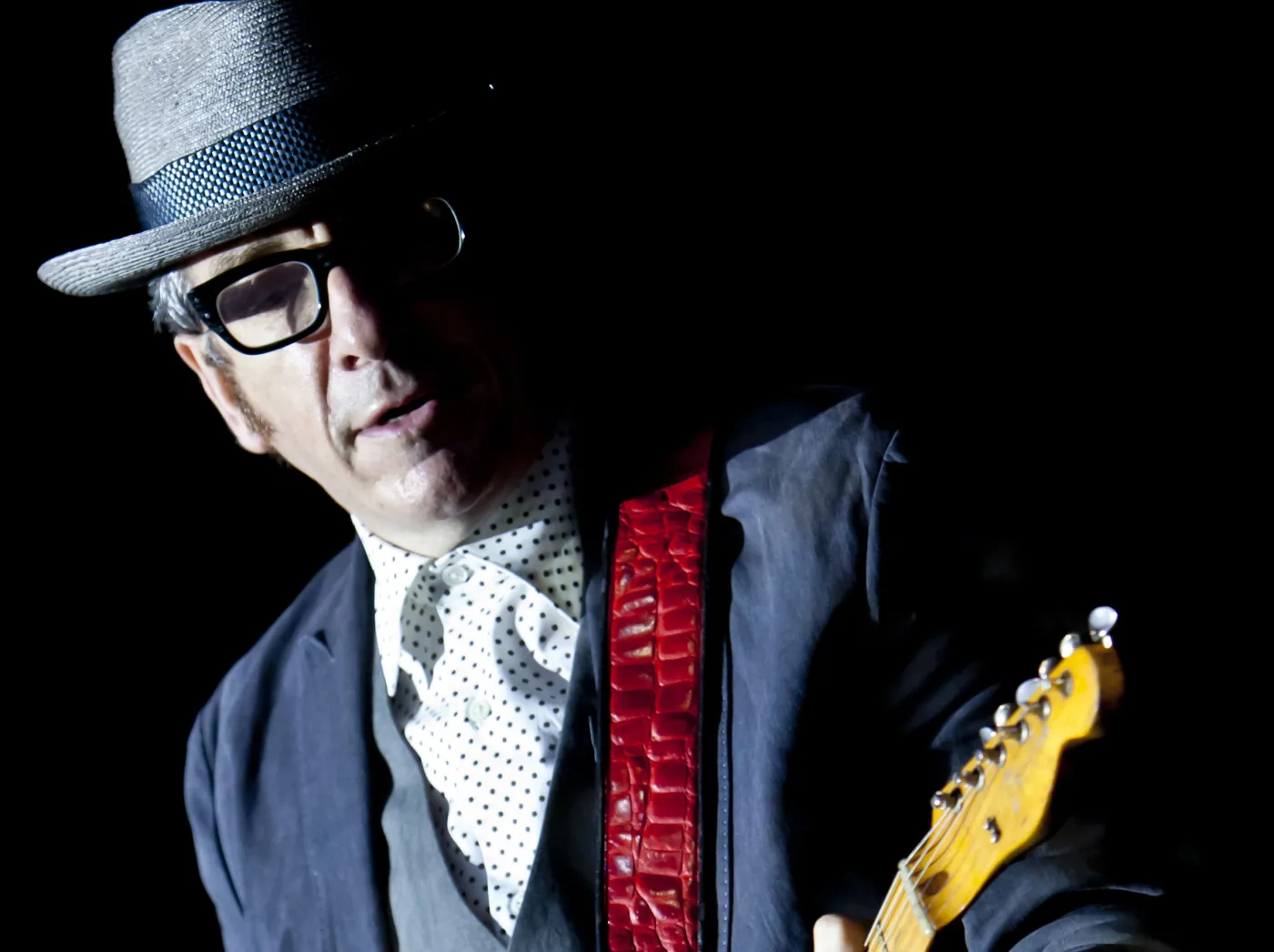 Elvis Costello