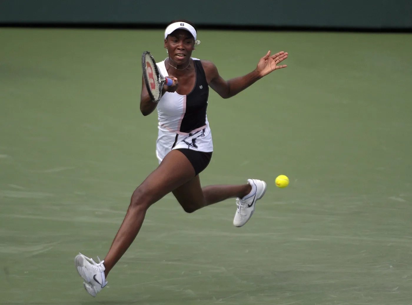 Venus Williams