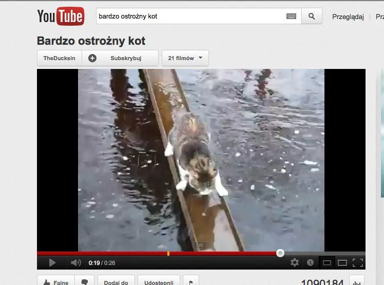 Oto najsprytniejszy kot świata! I jaki ostrożny!