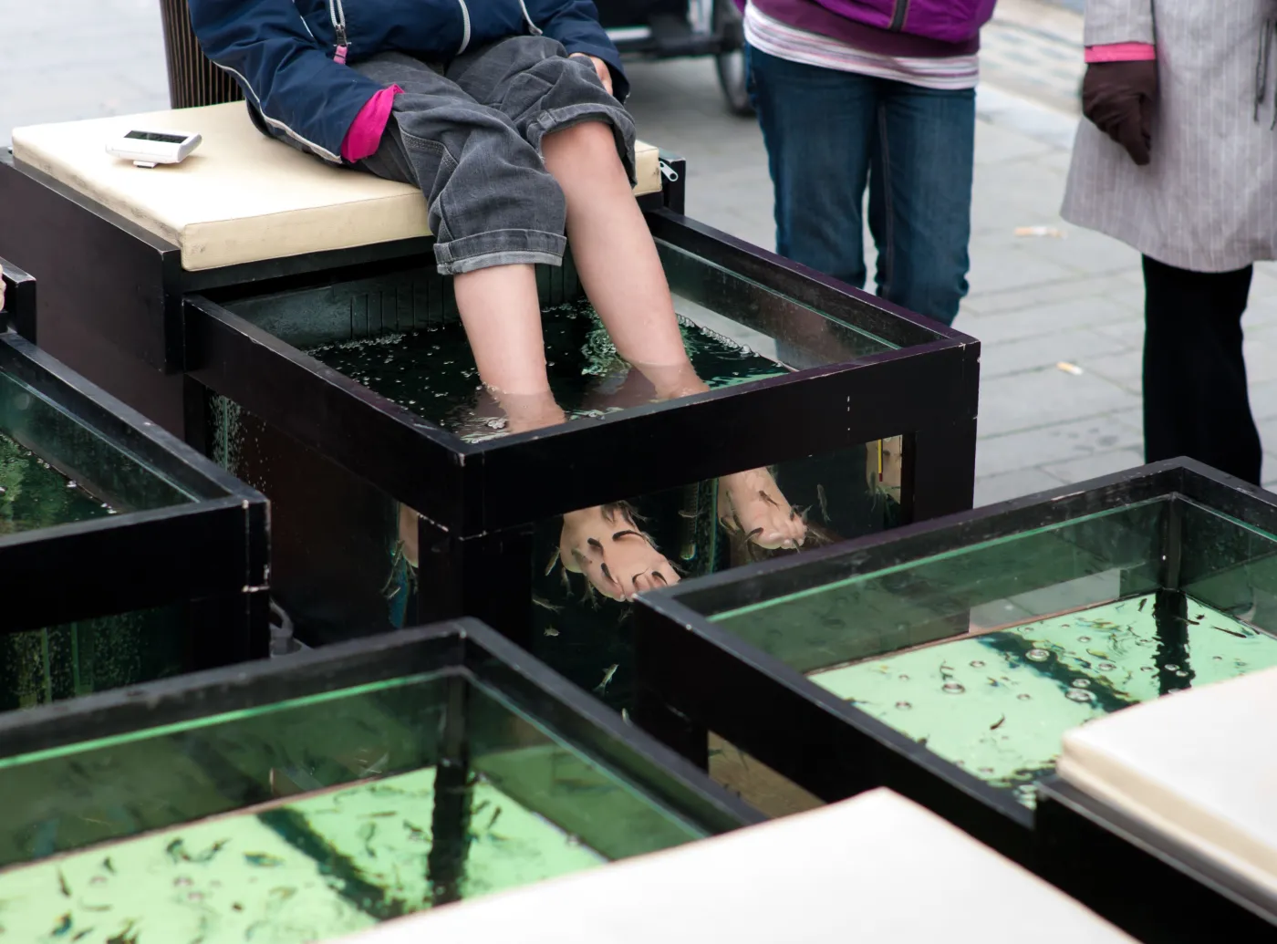 3451842-fish-pedicure.jpg