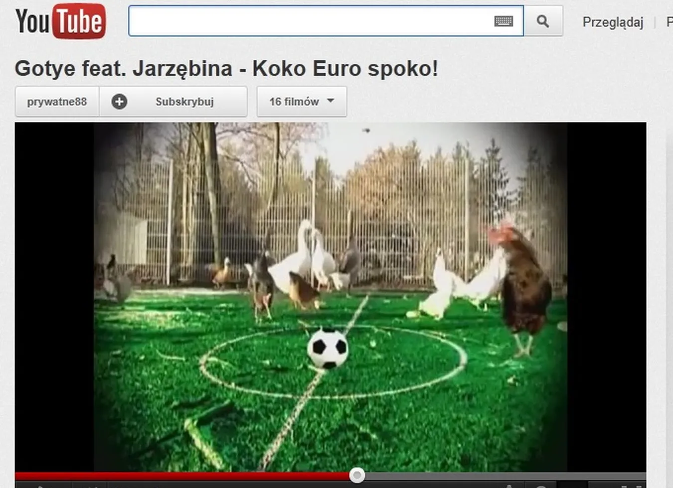 Gotye zaśpiewał "Ko ko Euro spoko"? Posłuchaj hitu sieci!