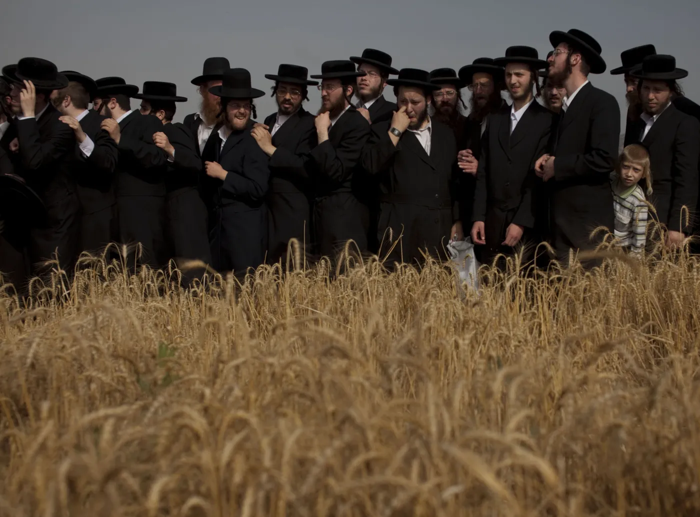 Żydzi rozpoczęli żniwa. Zobacz, jak witają wiosnę