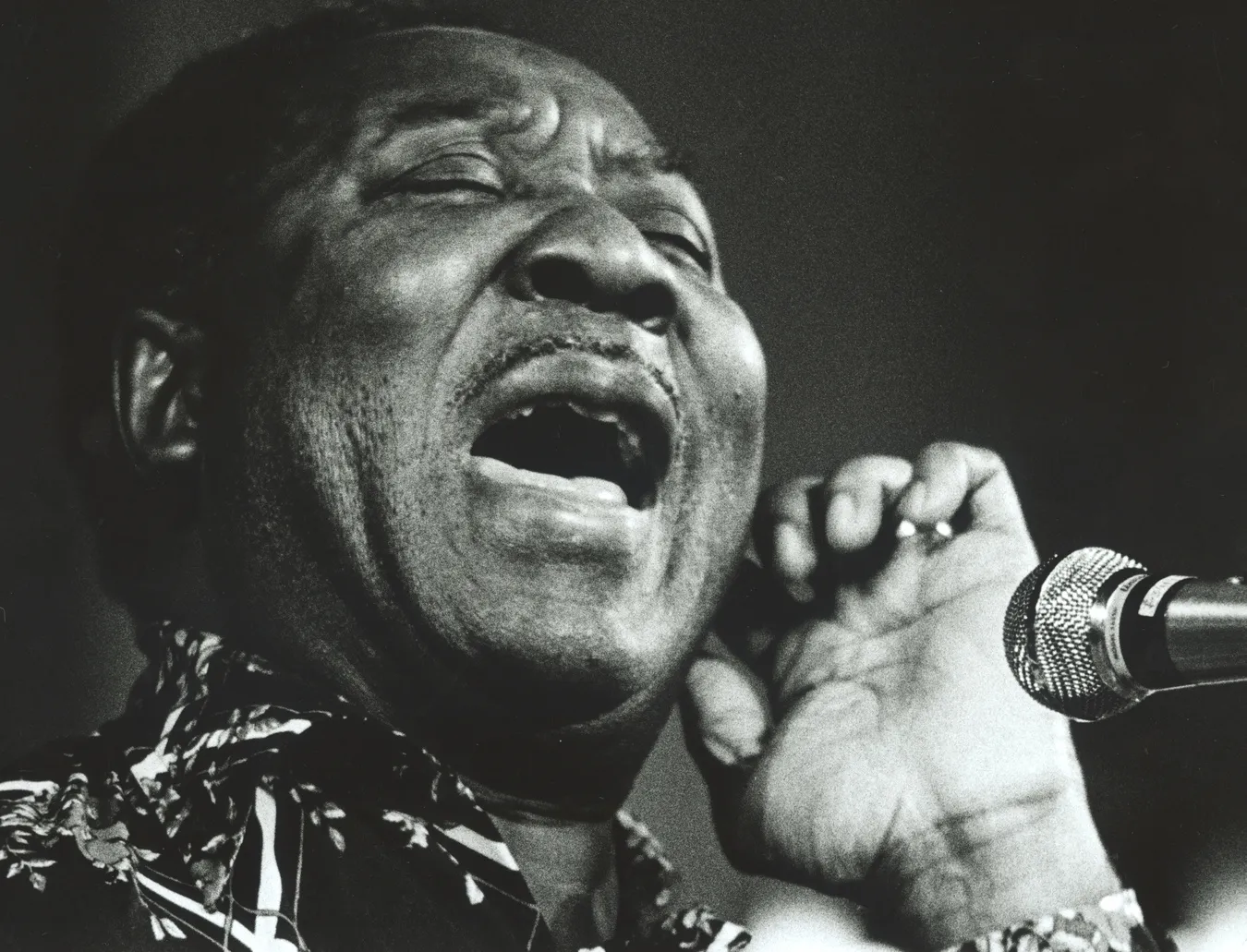 4551671-muddy-waters.jpg