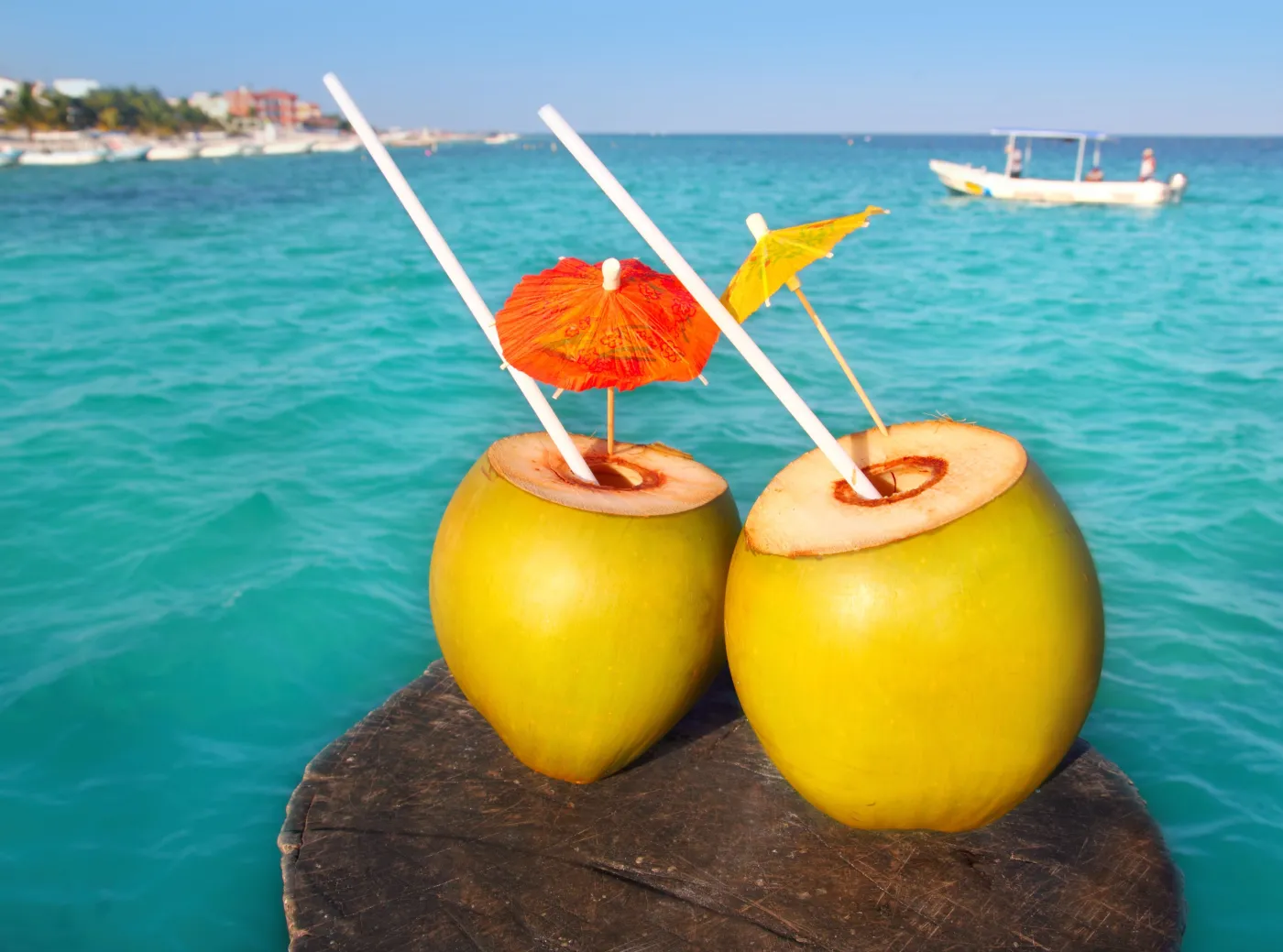 Alkohol chroni mózg