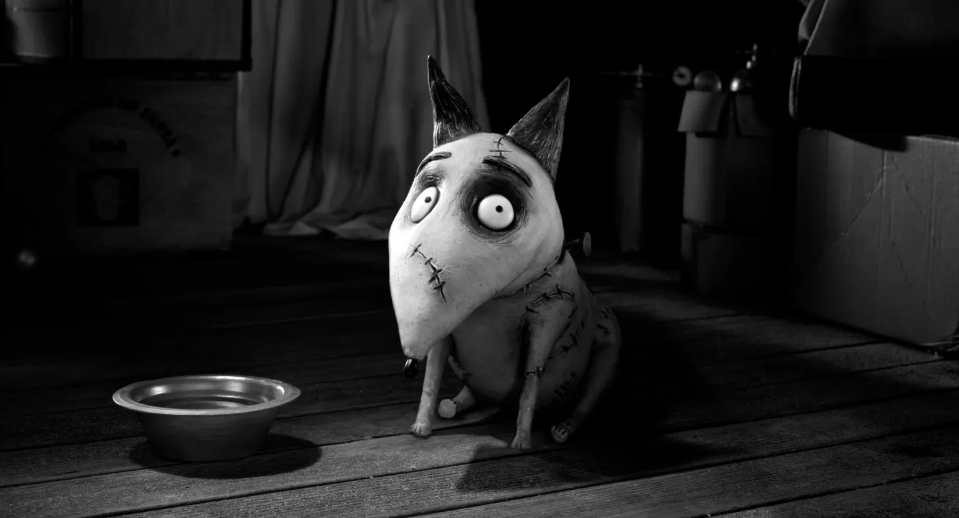 4936424-frankenweenie.jpg