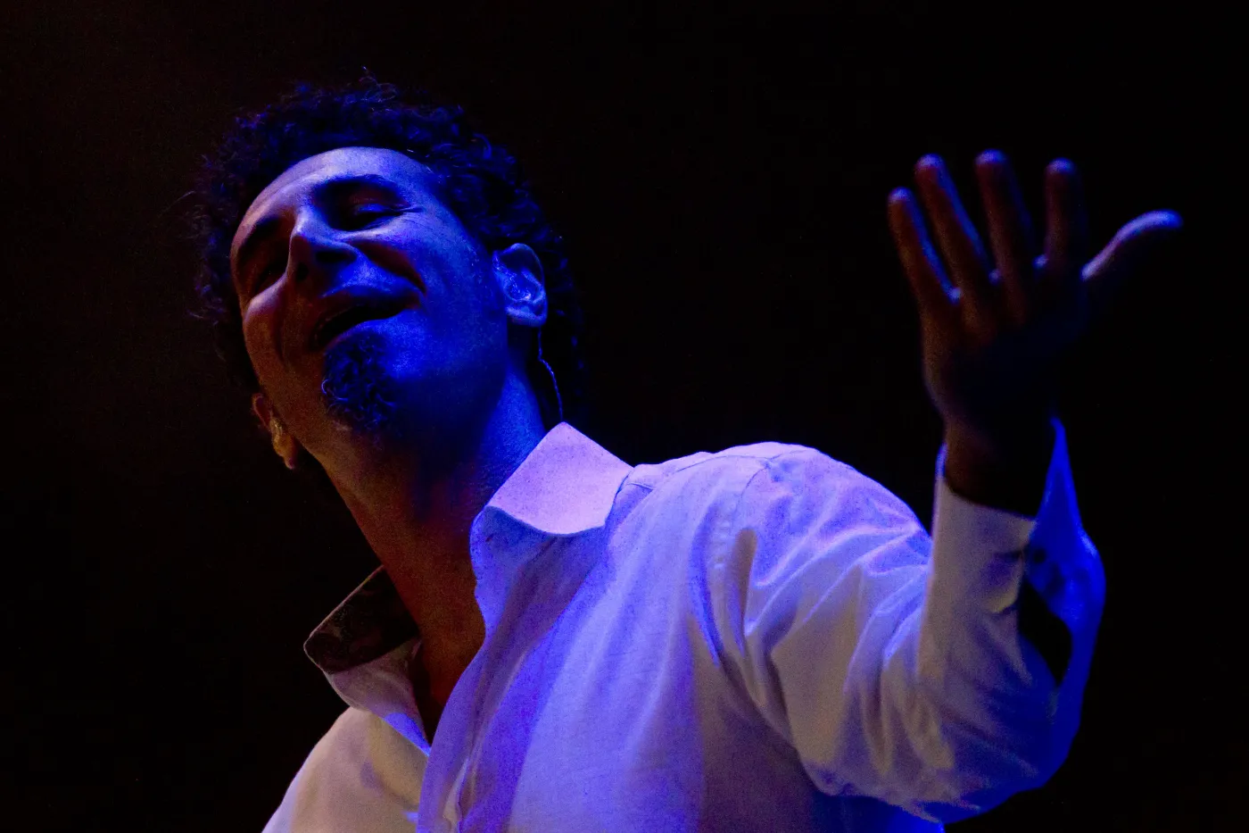 Serj Tankian