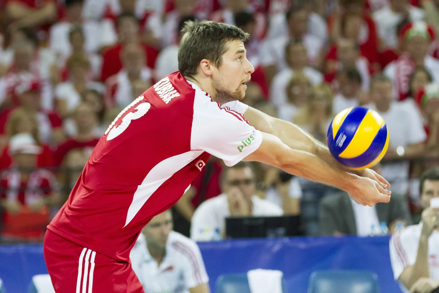 5416496-michal-kubiak.jpg