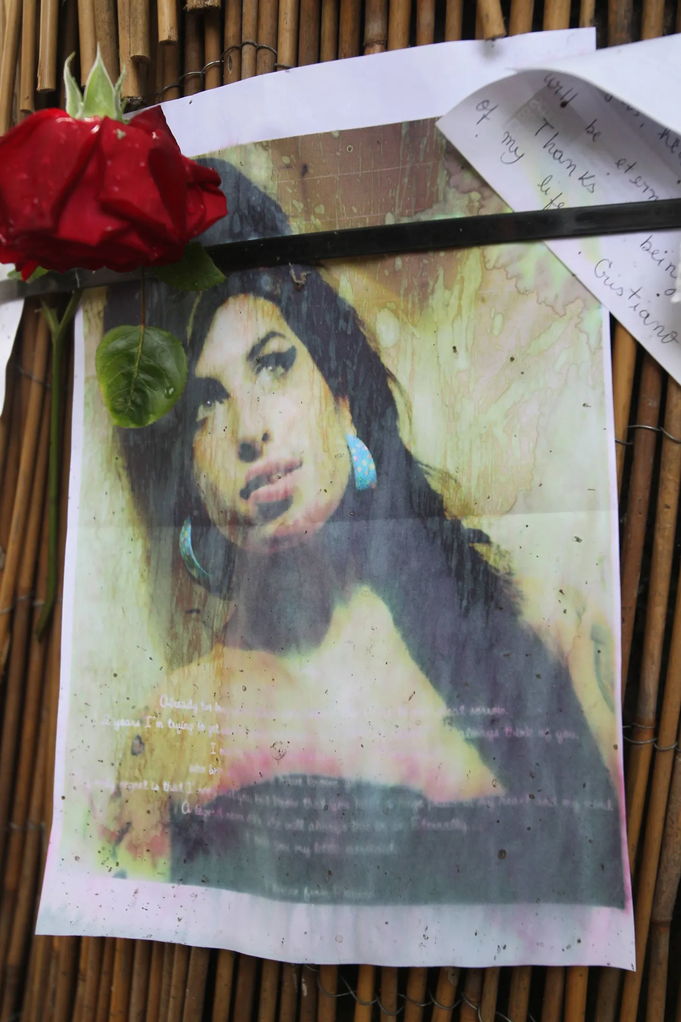 5227159-amy-winehouse.jpg