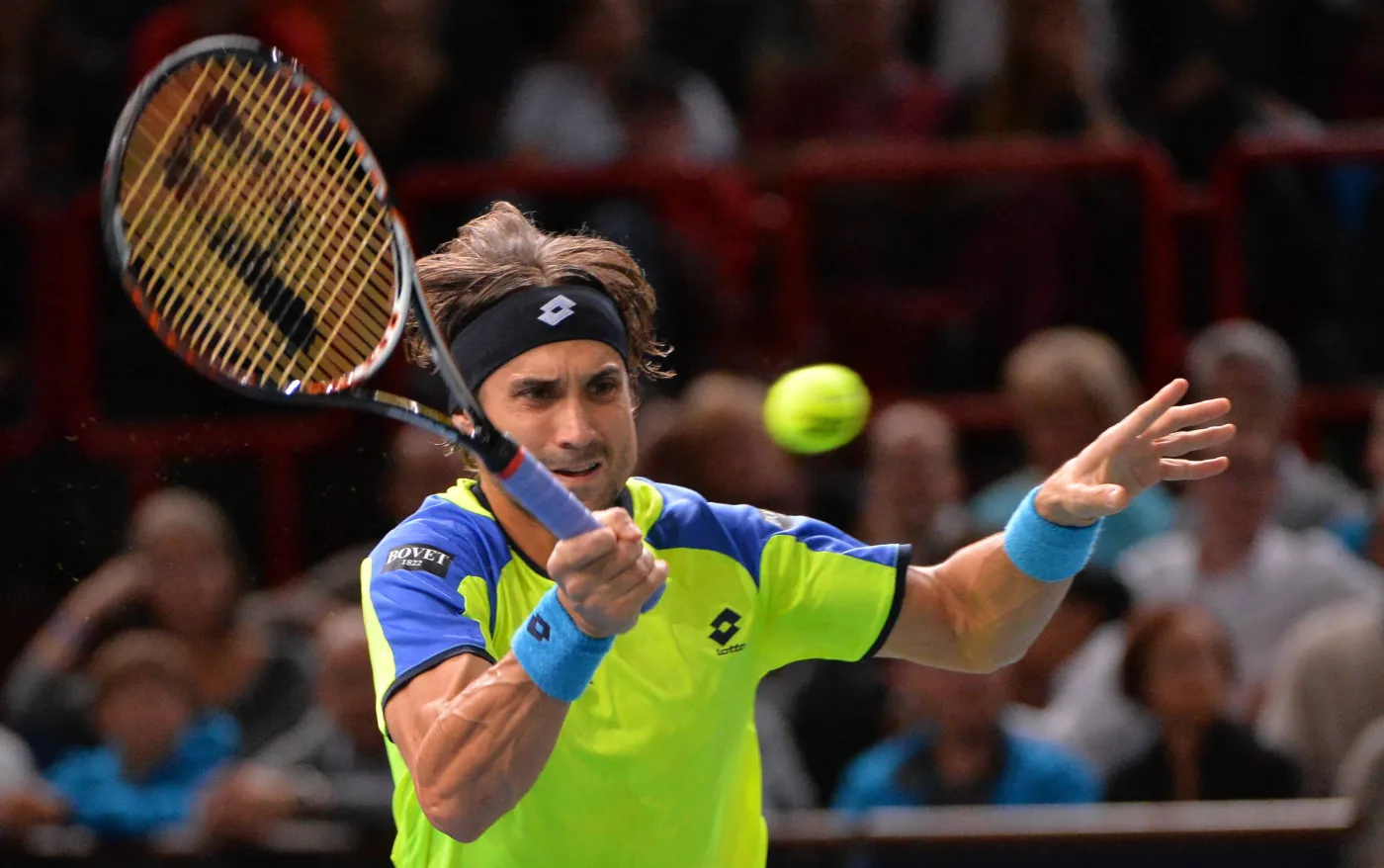 David Ferrer