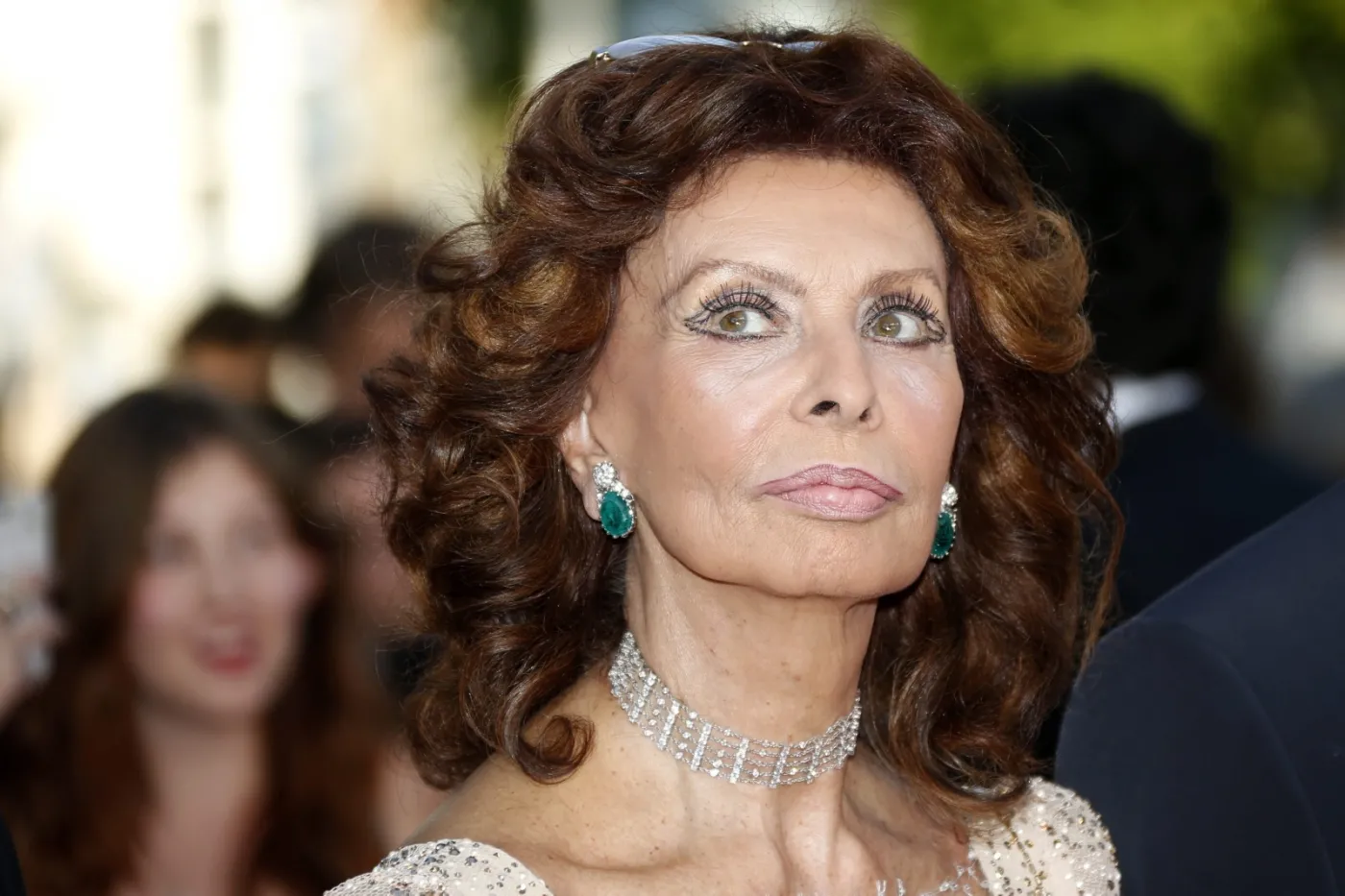 6319777-sophia-loren.jpg