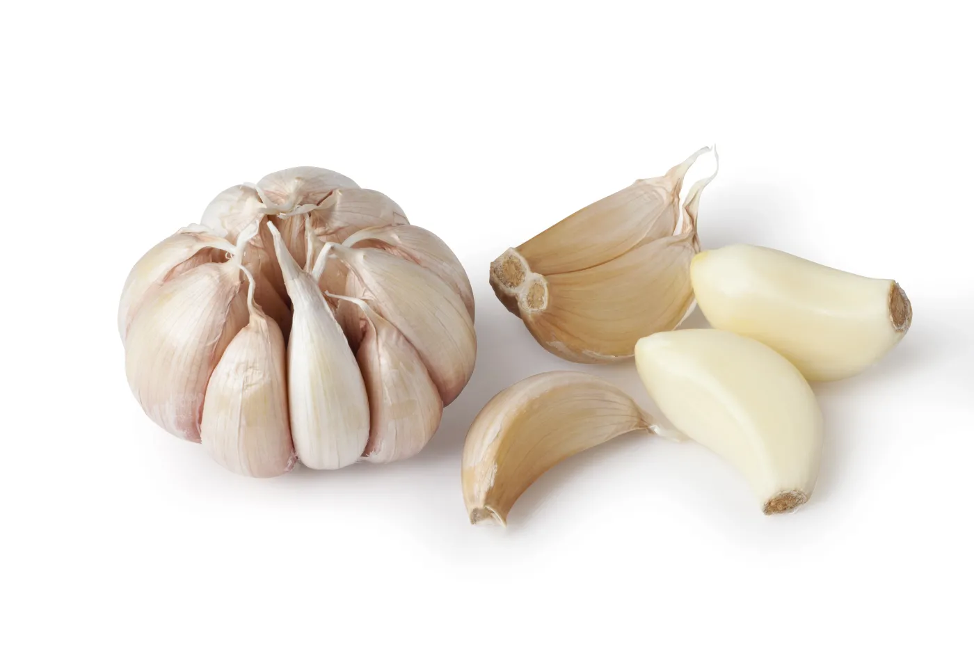 4926545-zabek-czosnku.jpg