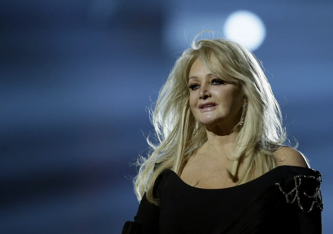6624233-bonnie-tyler.jpg