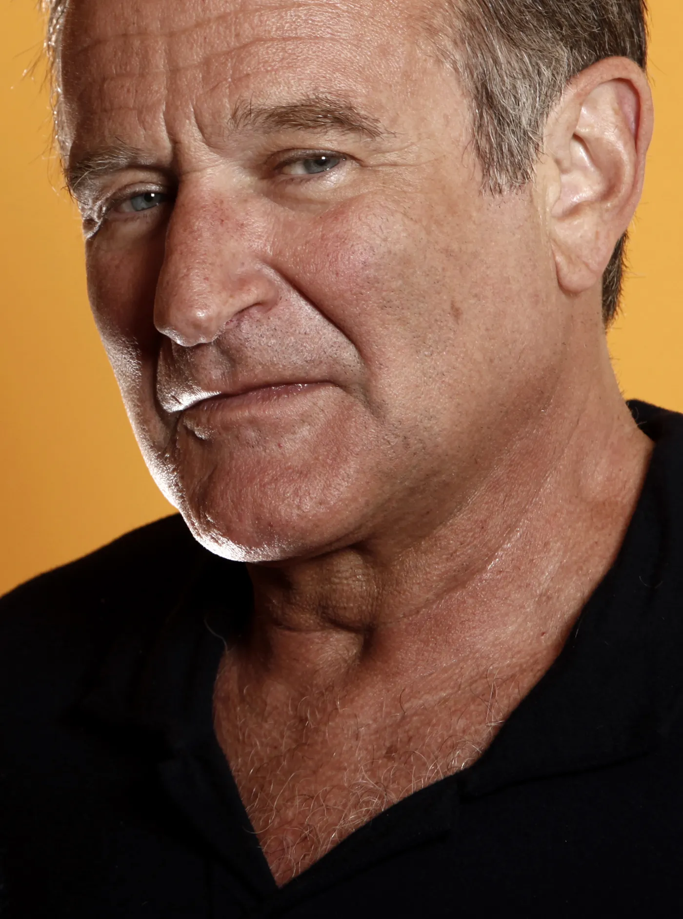 6665292-robin-williams.jpg