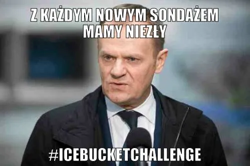 Jak podrywa Korwin-Mikke i dokąd biegnie Kaczyński? MEMY DNIA