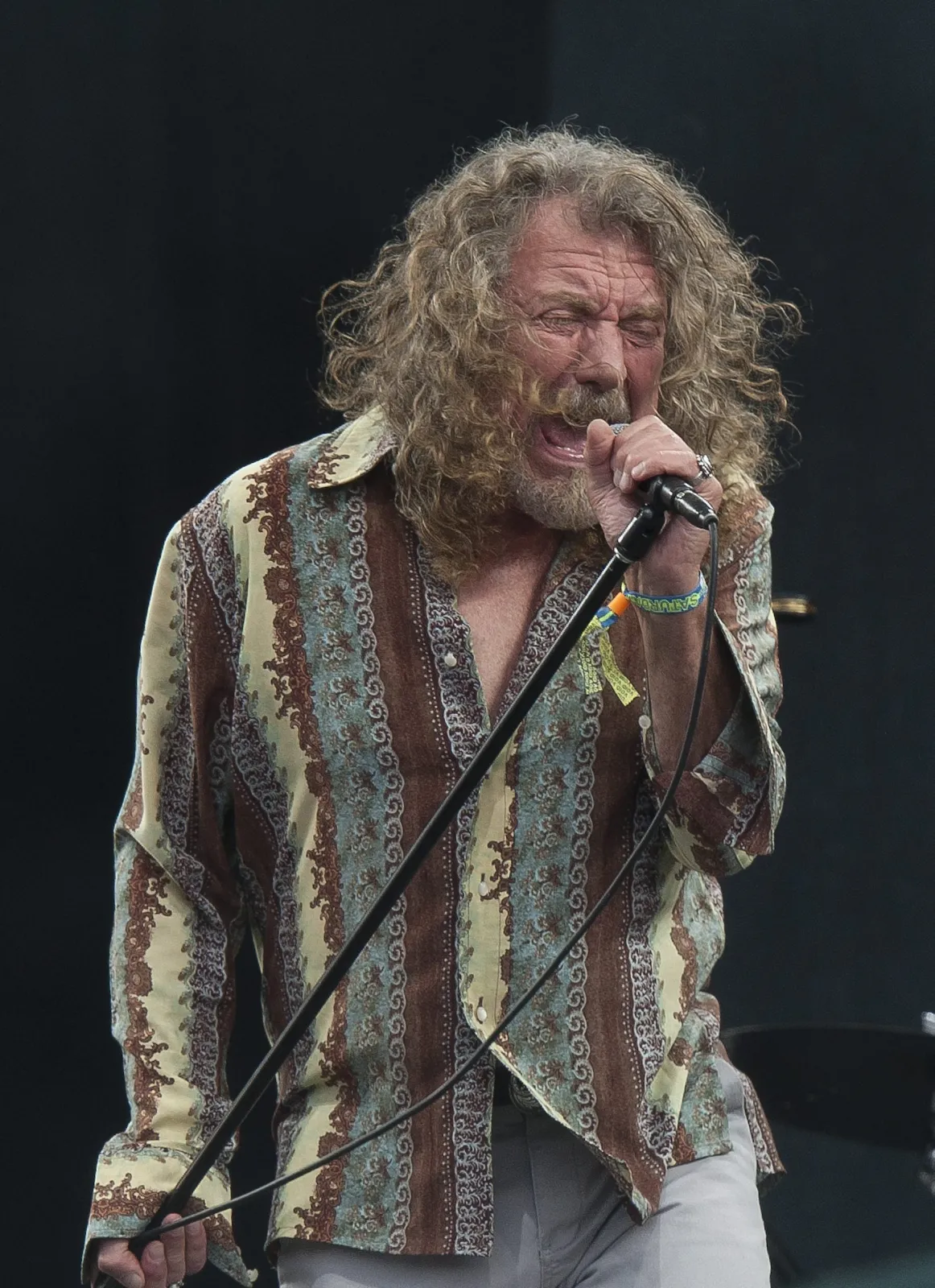6503676-robert-plant.jpg