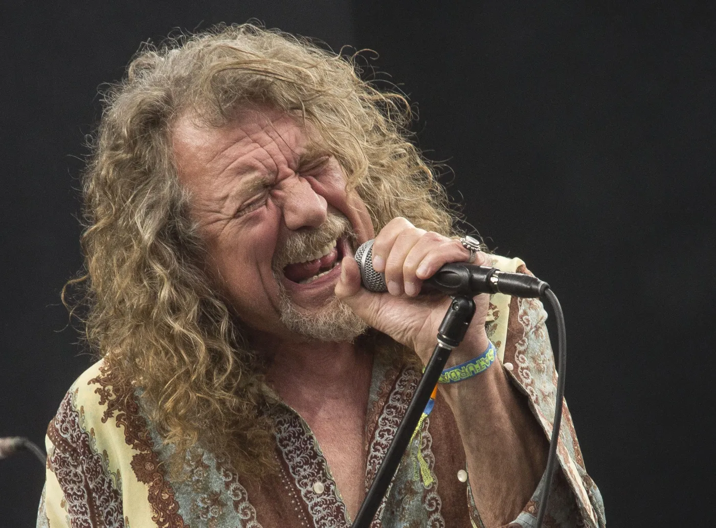 6506587-robert-plant.jpg