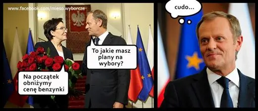 Kopacz imponuje Tuskowi, a Kaczyński odgraża się Merkel MEMY TYGODNIA