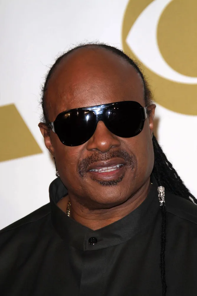 Stevie Wonder