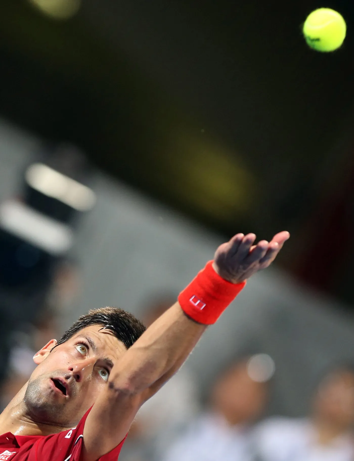 7258085-novak-djokovic.jpg