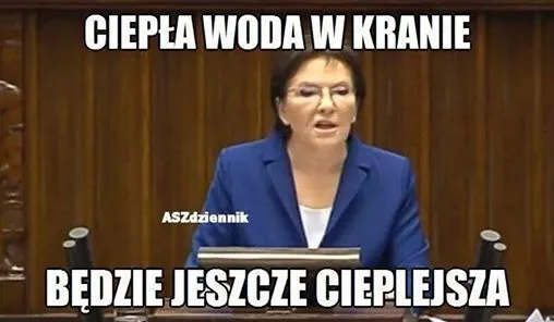 Cudowne expose Kopacz i pojednanie Tuska z Kaczyńskim. MEMY TYGODNIA