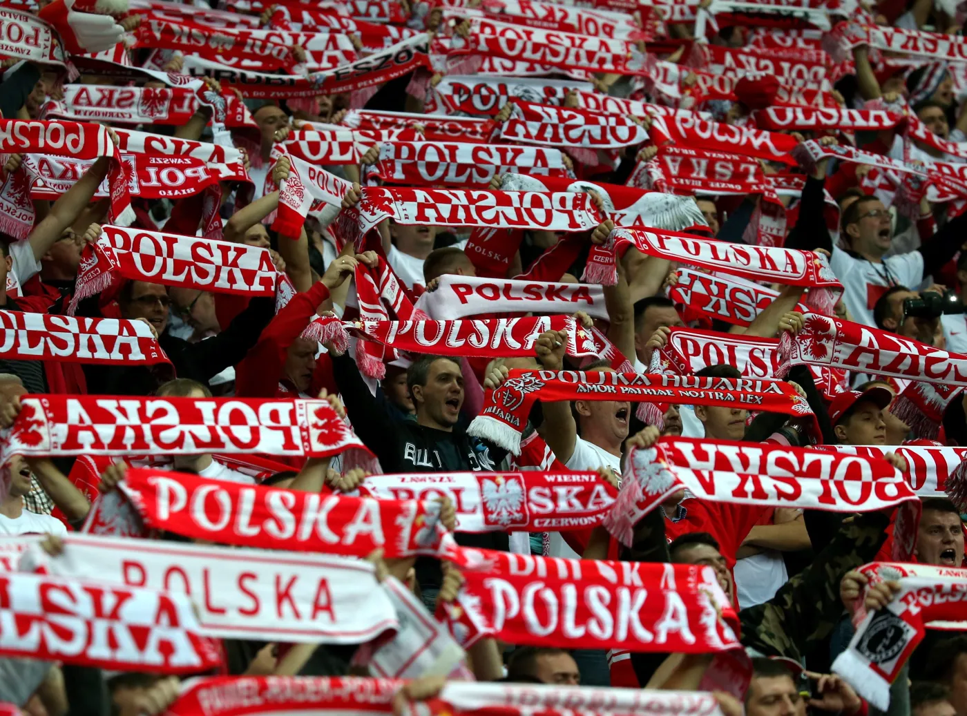 Polscy kibice