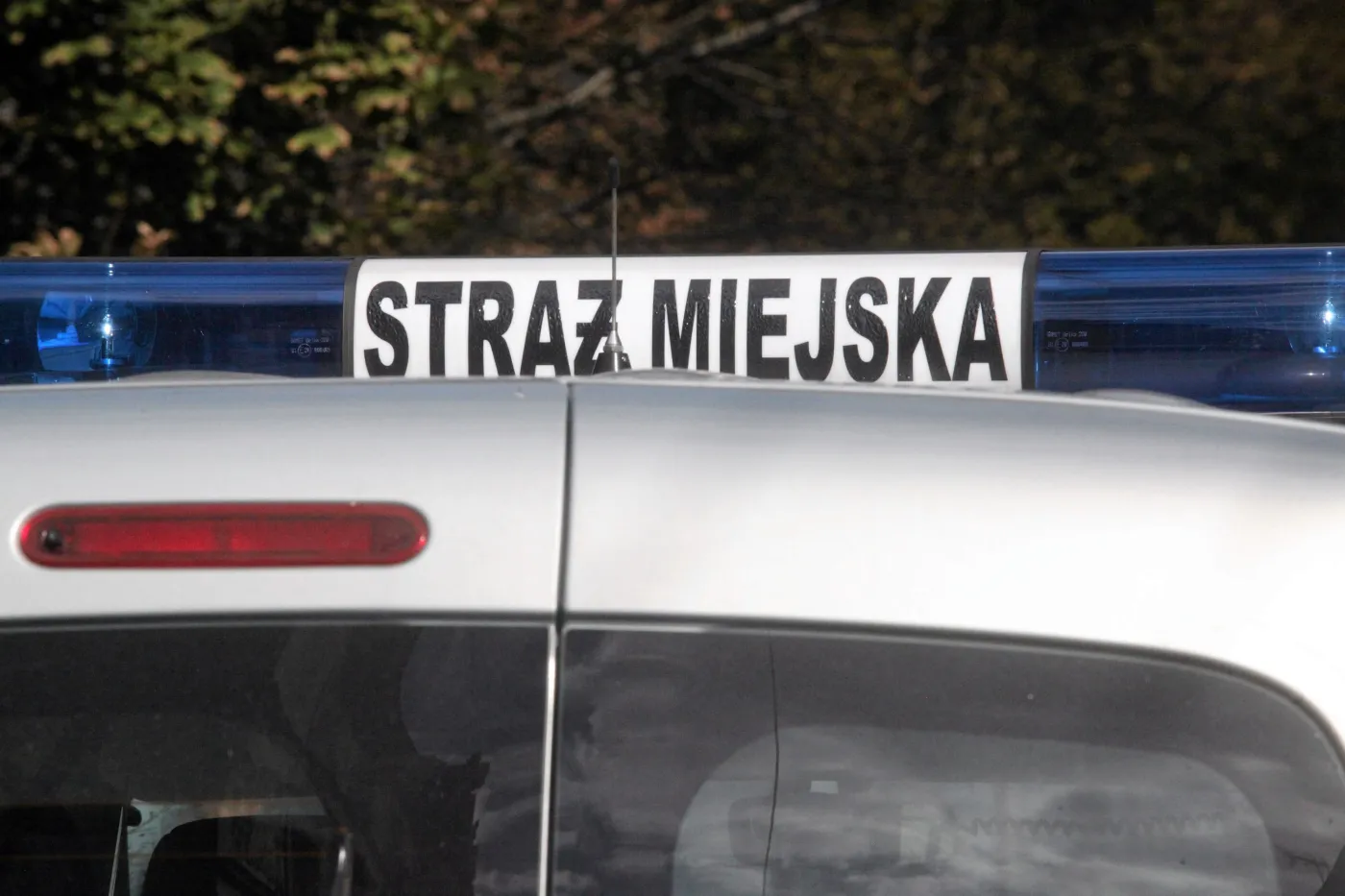 Straż miejska