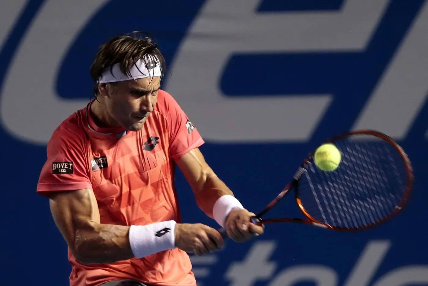 David Ferrer