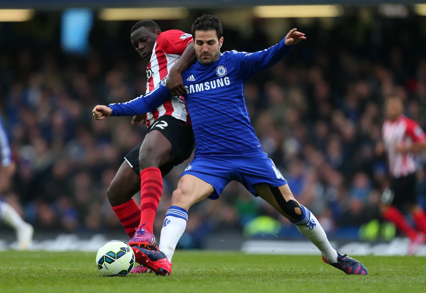 7562795-cesc-fabregas.jpg