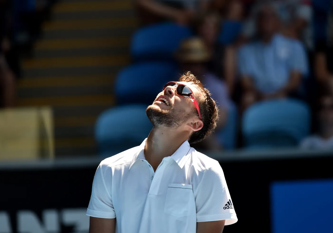 7341351-jerzy-janowicz.jpg