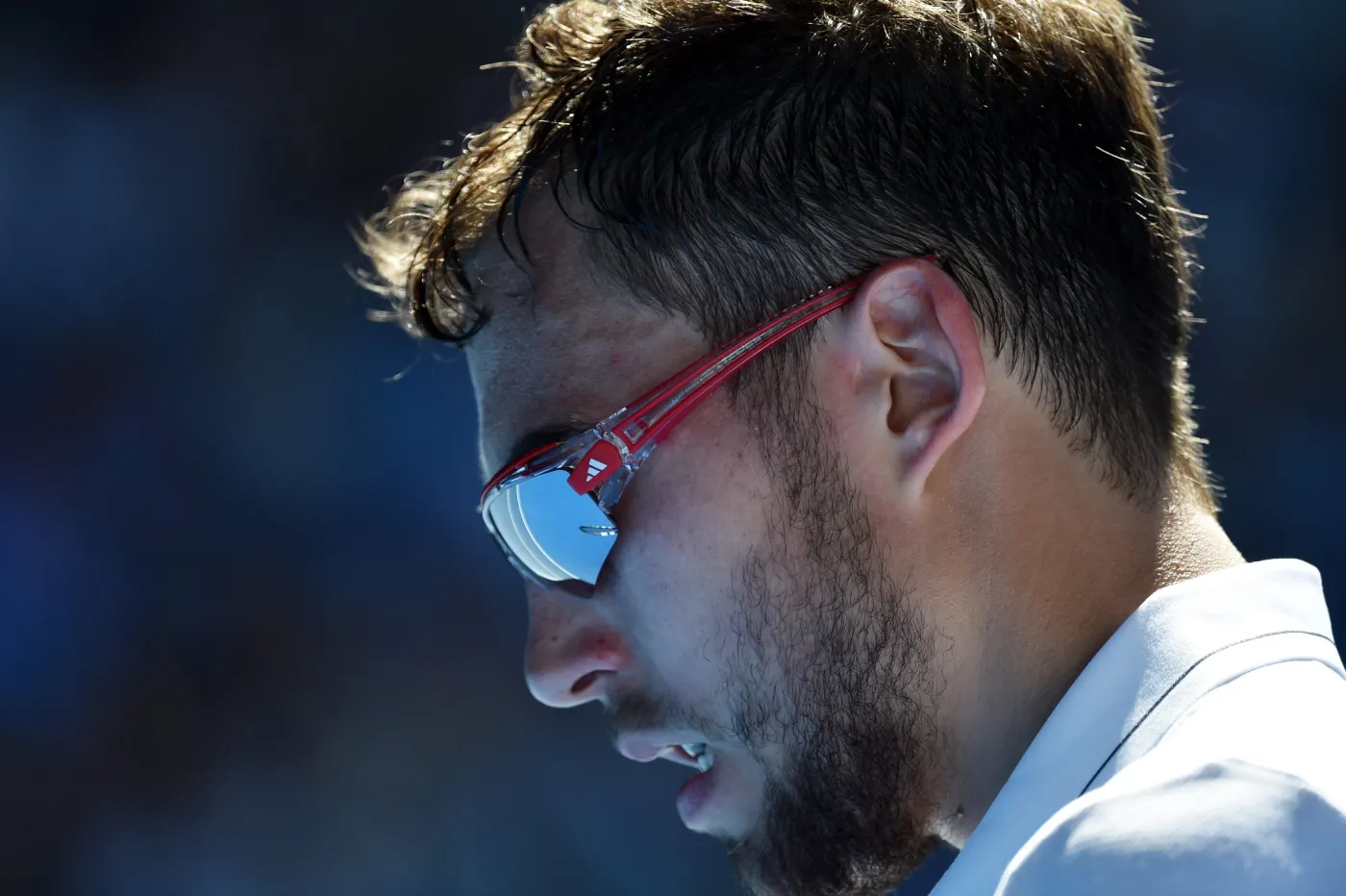7341380-jerzy-janowicz.jpg