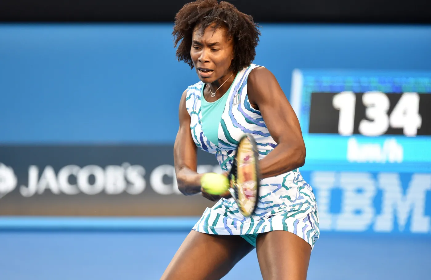 7345969-venus-williams.jpg