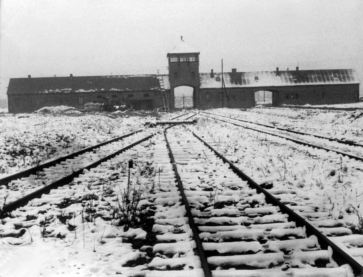 7350632-kl-auschwitz.jpg