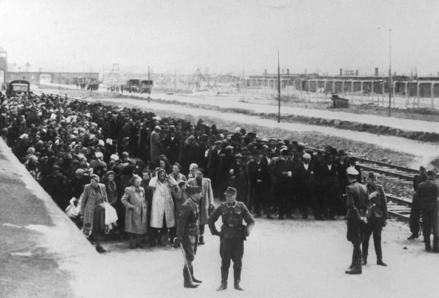 7350744-kl-auschwitz.jpg