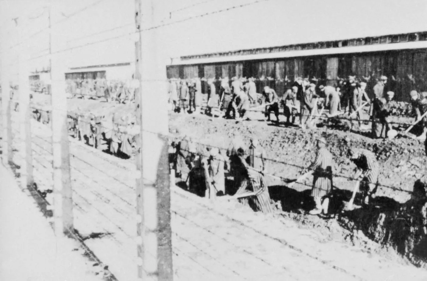 7350828-kl-auschwitz.jpg
