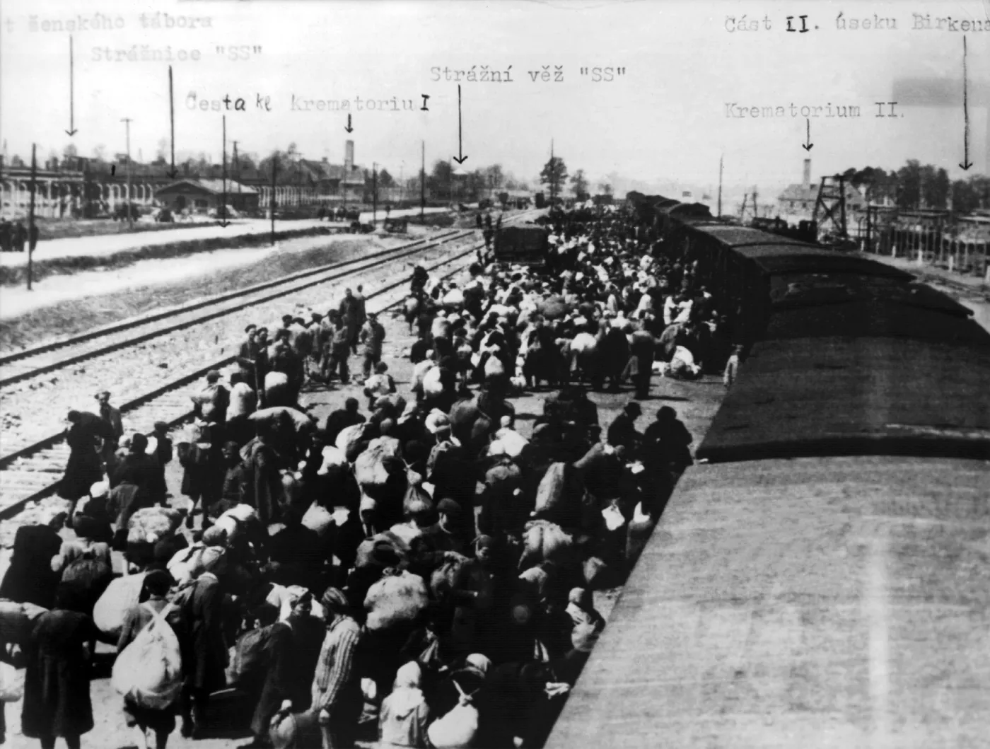 7350944-kl-auschwitz.jpg