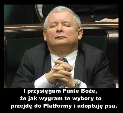 Kiedy Kaczyński przejdzie do PO, i jak Balcerowicz ratuje Ukrainę? MEMY DNIA