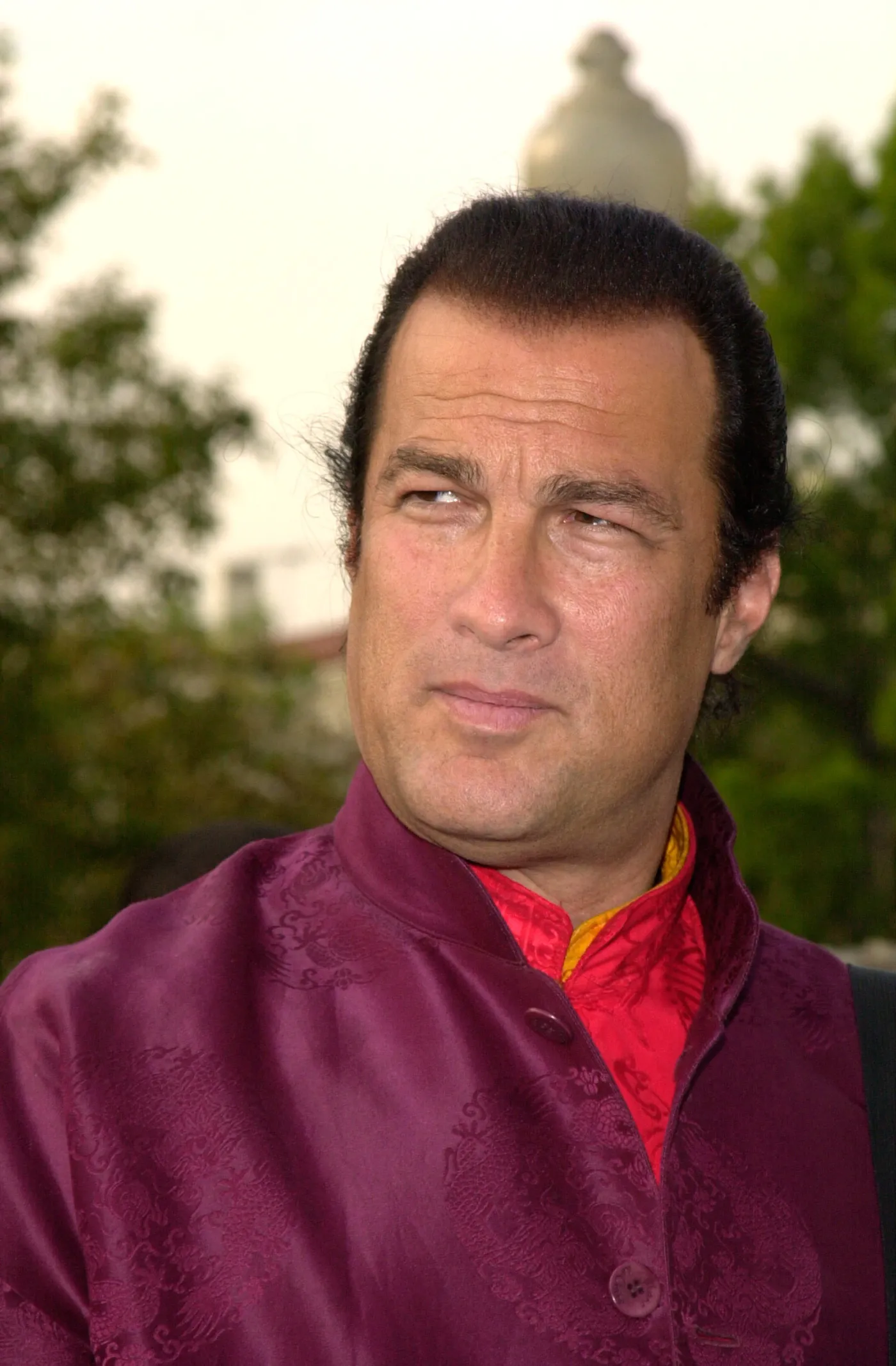 8016400-steven-seagal.jpg