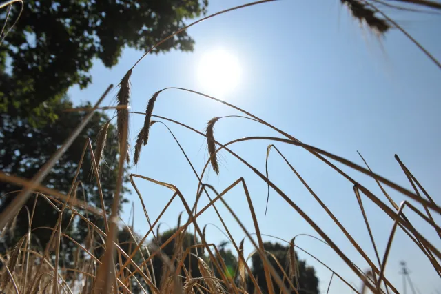 Nadchodzi koniec upałów! Kiedy ochłodzenie? PROGNOZA POGODY